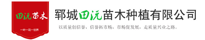 郓城色多多黄在线观看苗木种植有限公司